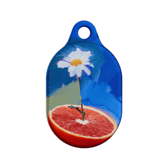 Little Daisy AirTag Case AirTag Case by Nicole Nelius - The Dairy